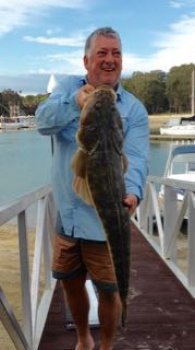 That's a Flathead